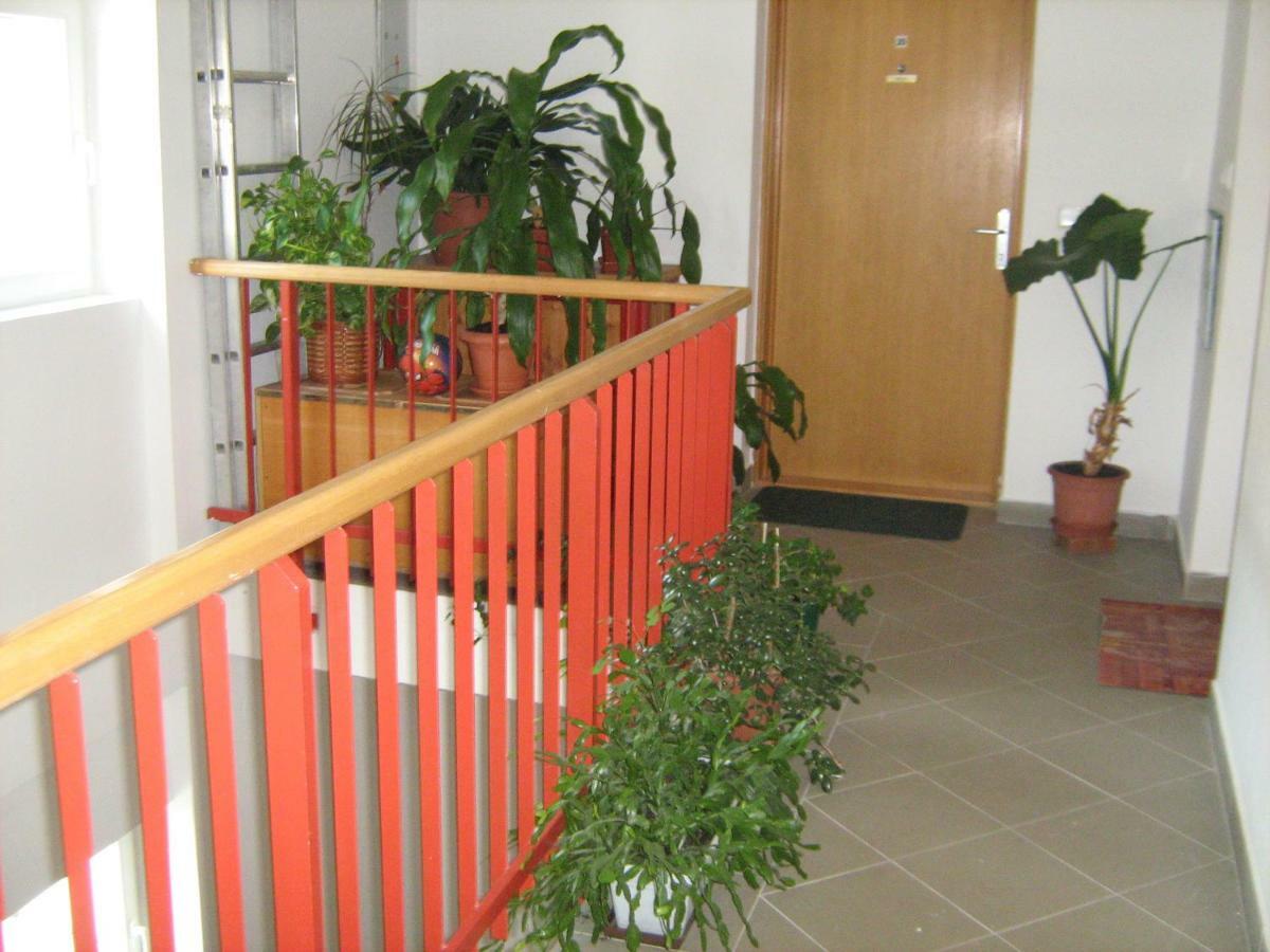 Apartment Diklic Senj  Dış mekan fotoğraf